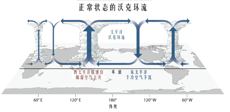 【专题】拉尼娜气象对我国玉米种植的影响