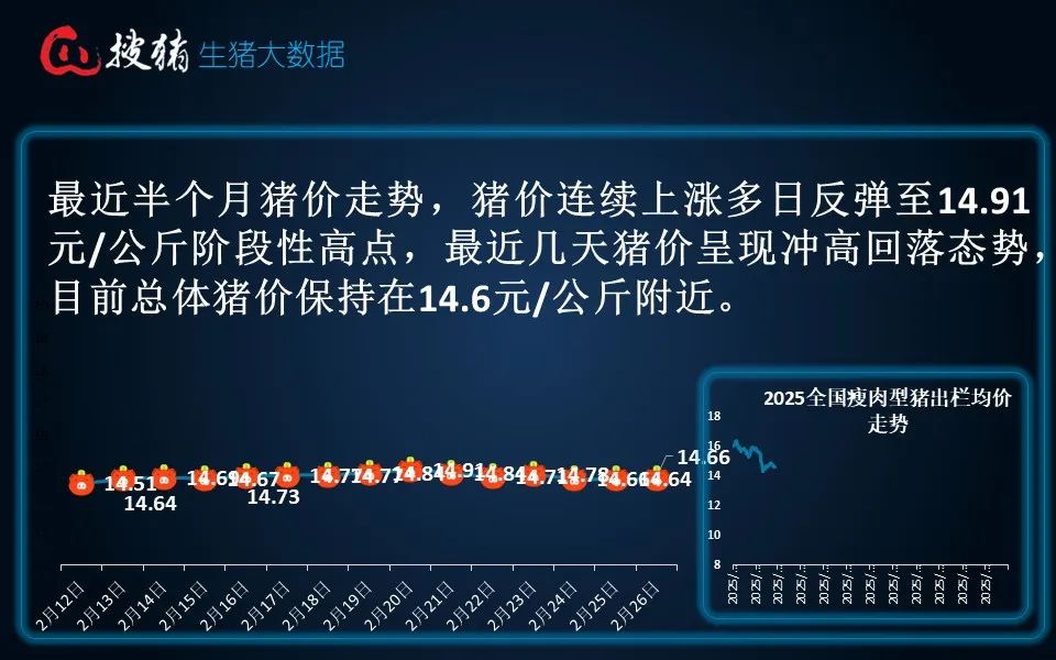 生猪全国均价14.66元 短时受供需博弈影响 猪价或延续僵持盘整走势